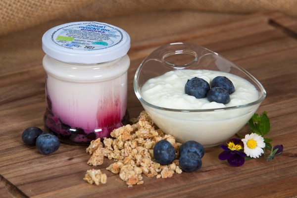 jogurt-boruvka-bio-kompozice