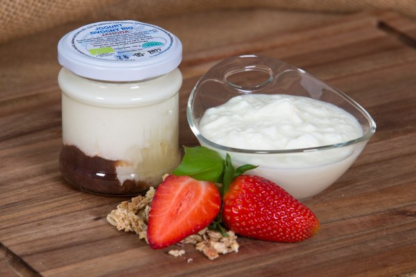 jogurt-jahoda-bio-kompozice